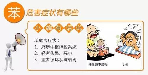 苯效果图